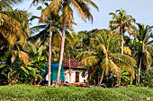 Kerala backwaters, our three hours neighborhood tour in the narrow canoe towards Vembanad Lake and along one of the  narrow canal running near our guest house at Kumarakom. 